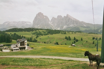 Seiser Alm. Foto gap089
