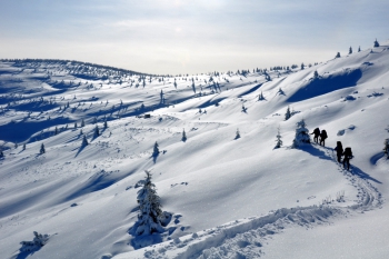 Skiën in Oekraïne. Foto Tilia Maas Geesteranus