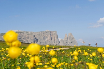 Alpe di Siusi