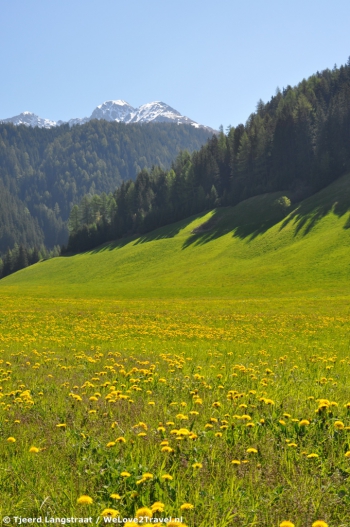 Uitzicht in Zuid-Tirol. Foto Tjeerd Langstra