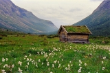 Anders Gjengedal/www.visitnorway.com 