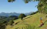 Alta Via 2. foto S van Haegenberg