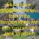 Stuur jouw mooiste dierenfoto in de bergen in én win een rugzak van Jack Wolfsin
