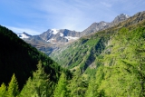 De Walliser Alpen of Pennische Alpen?