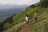 Wandelen in Zuid-Tirol