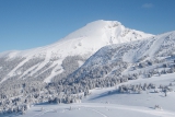 Josh Dueck skiet graag in de Rocky Mountains. Foto 5of7