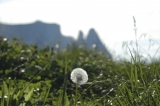 Een actieve zomer in de Italiaanse Alpen