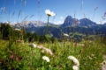 Trentino-Zuid-Tirol