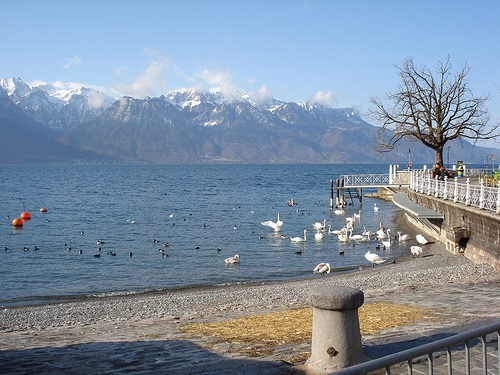 Bergen aan het Meer van Genève / Lac Léman. Foto Hilverd