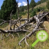 De berghutten van Andorra
