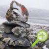Trektocht door Jotunheimen II