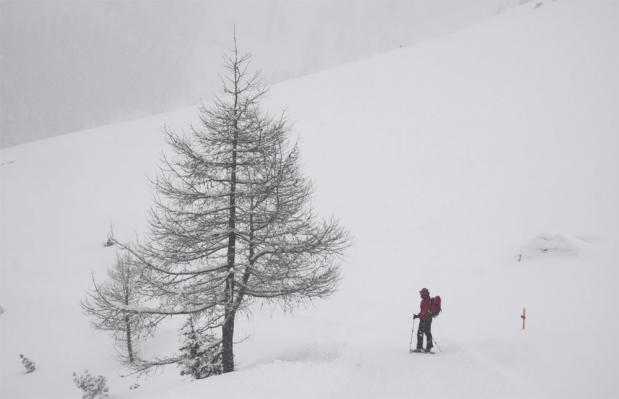Sneeuwschoenwandelen rondom de Gemnipas in Wallis/Berner Oberland