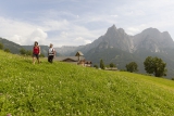 Vier de zomer op een boerderij in Zuid-Tirol