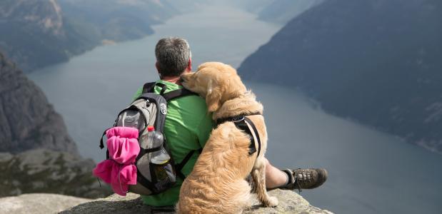 Samen met je hond van je bergvakantie genieten, dat is toch een droom? Foto Angel Luciano on Unsplash Man en hond genieten van een uitzicht in de bergen