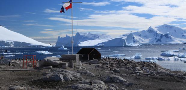 Antarctica. Foto Liam Q.