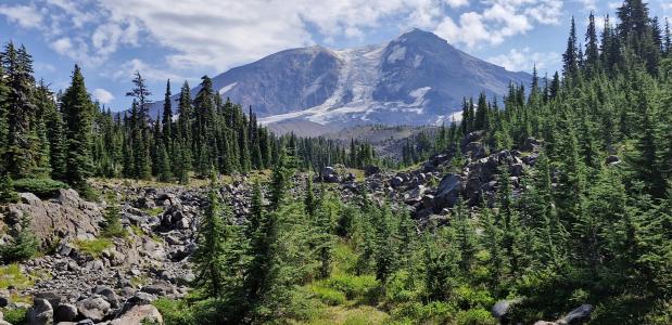 Mount Adams in de verte
