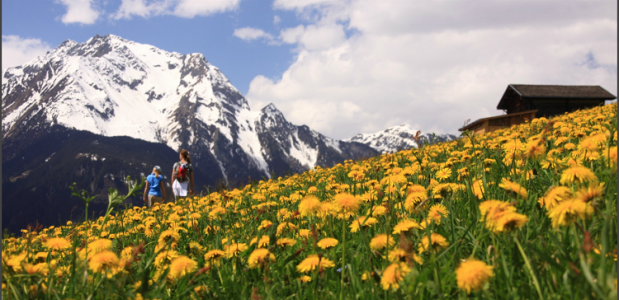 Zonnig jaar in de bergen. Foto Jonathan Vandevoorde Zonnig jaar in de bergen. Foto Jonathan Vandevoorde