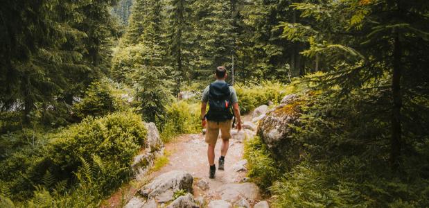 wandelaar op een bospad met uitzicht op een dal in de bergen