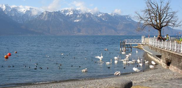 Bergen aan het Meer van Genève / Lac Léman. Foto Hilverd