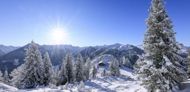 Bomen bergen sneeuw zonnetje
