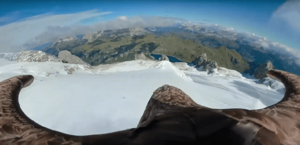Eagle Alpine Race