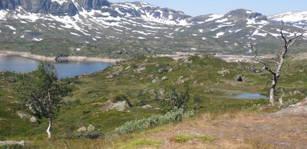 Uitzicht op het landschap in Noorwegen. Foto A. Visscher