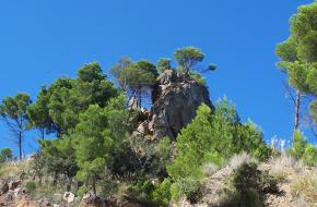 Mallorca. Foto K. Grol