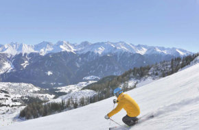 Ski bergen sneeuw mensen