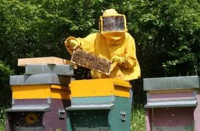 Foto: Elena Belli Foto: Elena Belli