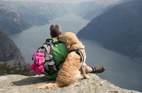 Samen met je hond van je bergvakantie genieten, dat is toch een droom? Foto Angel Luciano on Unsplash Man en hond genieten van een uitzicht in de bergen