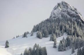 Offpiste bergen sneeuw toppen bomen