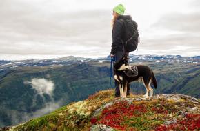 Met je hond in de bergen