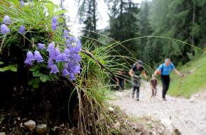 Wandelen op de Alpe Adria Trail. Foto Tom van der Leij