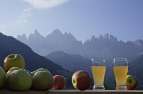 Appels in Zuid Tirol.  Inst. Wirtschaftsförderung Bolzano fotoFrieder Blickle