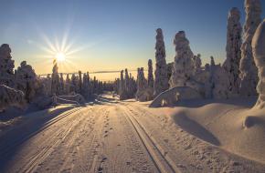 langlaufen in Lapland