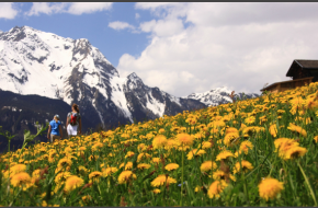 Zonnig jaar in de bergen. Foto Jonathan Vandevoorde Zonnig jaar in de bergen. Foto Jonathan Vandevoorde