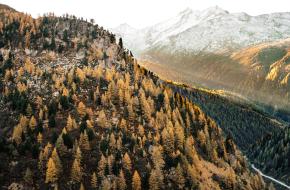 herfstkleuren zwitserland