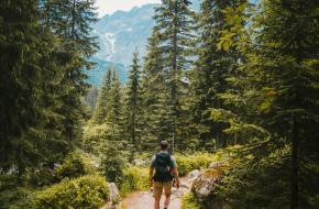 wandelaar op een bospad met uitzicht op een dal in de bergen