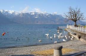 Bergen aan het Meer van Genève / Lac Léman. Foto Hilverd