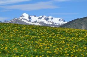 Lente in de alpen