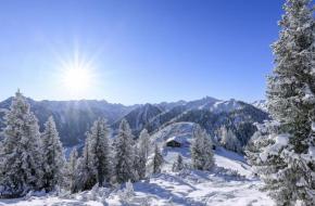 Foto: Steiermark Tourismus / Photo Austria, Tom Lamm Bomen bergen sneeuw zonnetje