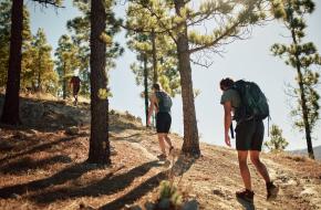 Gran Canaria Walking Festival 2025