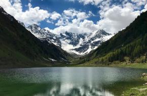 Bijzondere ontdekking in de Alpen: sporen van een prehistorisch ecosysteem hoog in de bergen