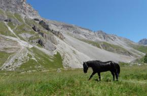 Met paard door de Tarentaise. Foto Simone van Velzen