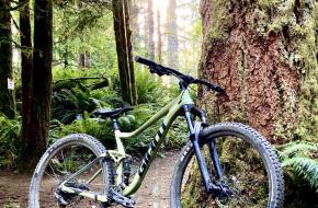 hardtail of full suspended mountainbike