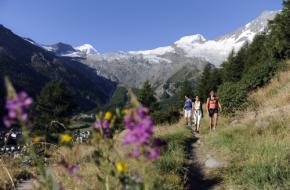 Saasdal foto: Wallis Tourismus-SwissImage