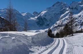 Photo by Sepp Rutz on Unsplash Sporen in de sneeuw