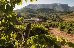 De mooiste wijnvakantie in Catalonië