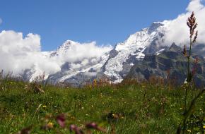 Weide in de Alpen. Foto: Rutger Tuller (Flickr)