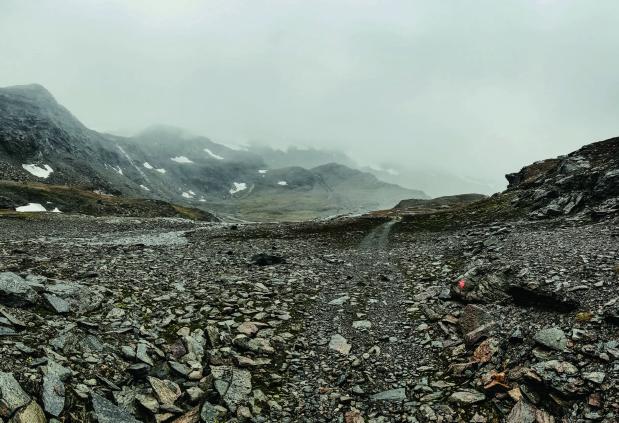 Door de vlammende bossen van Abisko